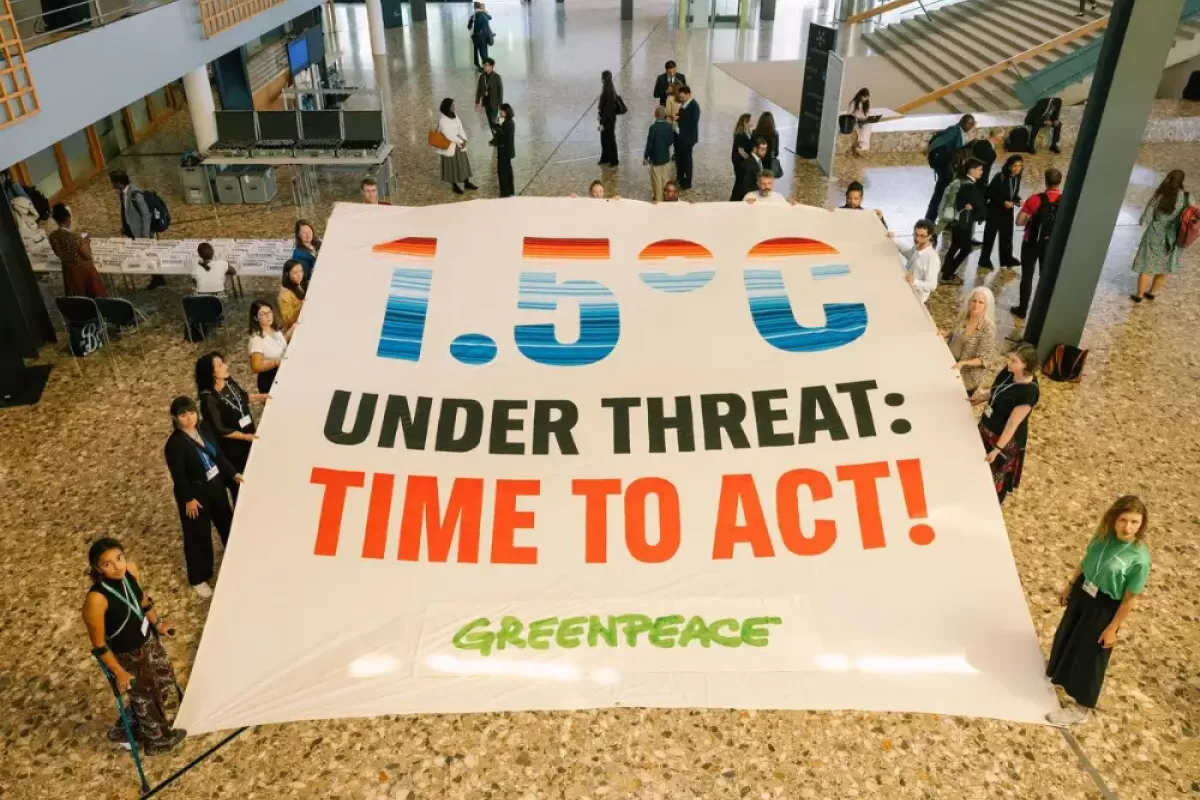 COP30 Drives Global Solar Growth & Carbon Markets Forward