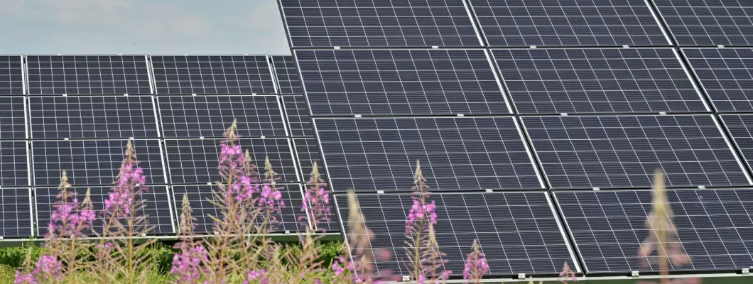 اتجاهات أنظمة تركيب الطاقة الشمسية العالمية: حلول Grace Solar الذكية اتجاهات أنظمة تركيب الطاقة الشمسية العالمية: حلول Grace Solar الذكية