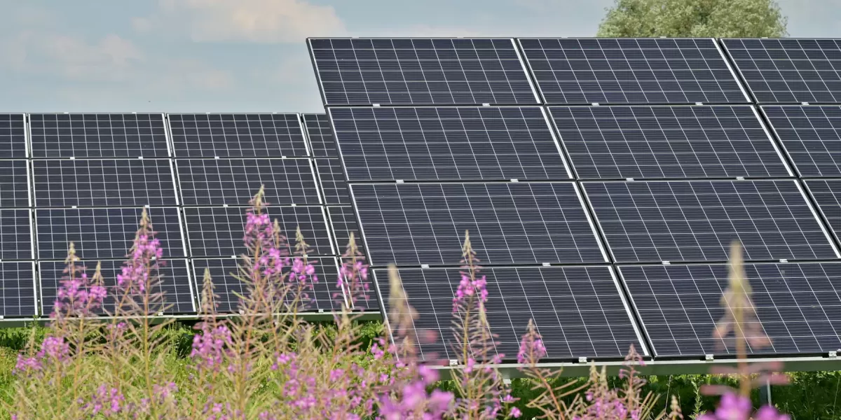 Tendencias Globales en Sistemas de Montaje Solar: Soluciones Inteligentes de Grace Solar Tendencias Globales en Sistemas de Montaje Solar: Soluciones Inteligentes de Grace Solar