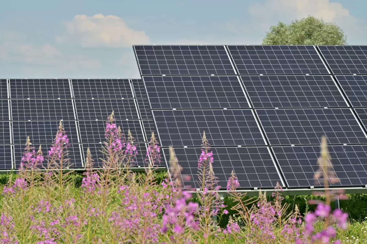 Tendencias Globales en Sistemas de Montaje Solar: Soluciones Inteligentes de Grace Solar