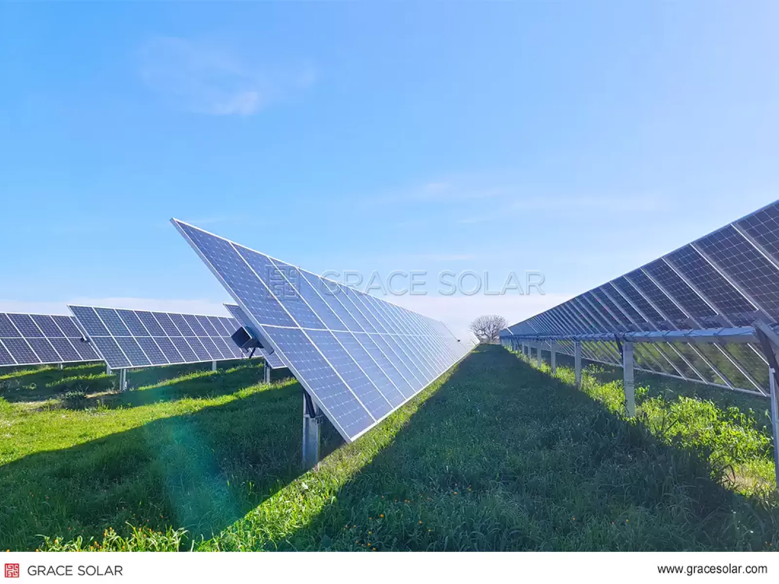 Grace Solar نظام تتبع الطاقة الشمسية الأرضي في إيطاليا