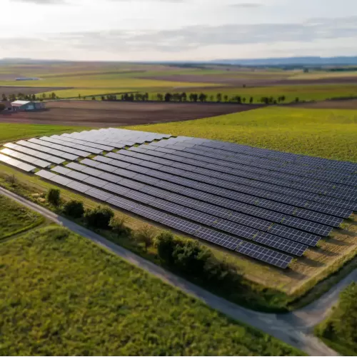 Synergie agro-solaire: alignement vertical lumière/cultures