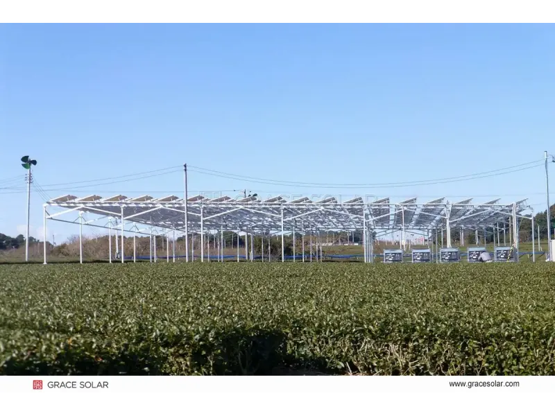 Système de Montage pour Fermes Solaires