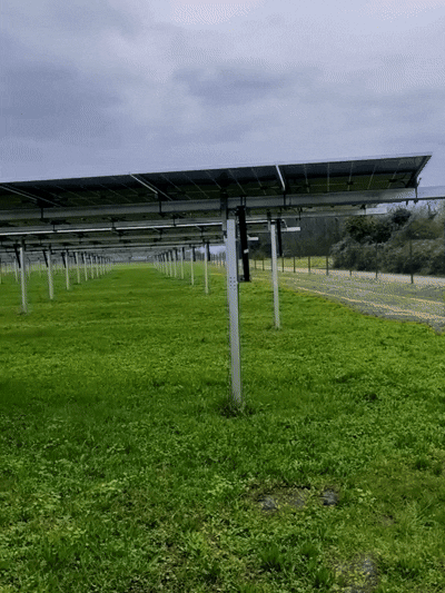 Animated GIF panoramic view of completed solar ground tracking installation